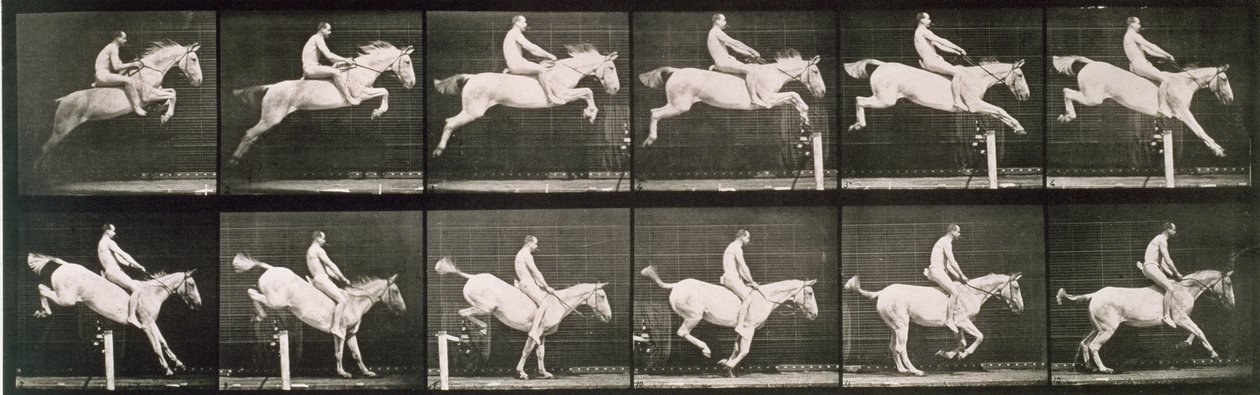 男と馬がフェンスをジャンプ、1887年の「Animal Locomotion